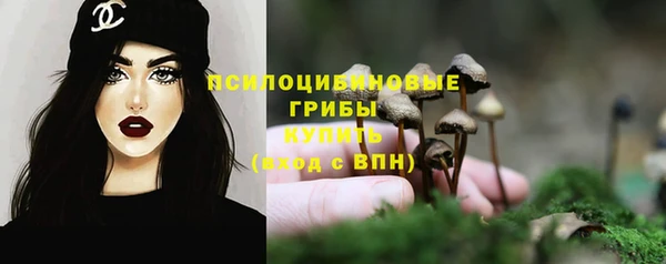 эйфоретик Новозыбков