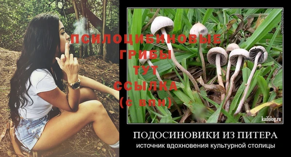 эйфоретик Новозыбков