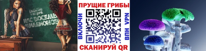 Галлюциногенные грибы мицелий Томск