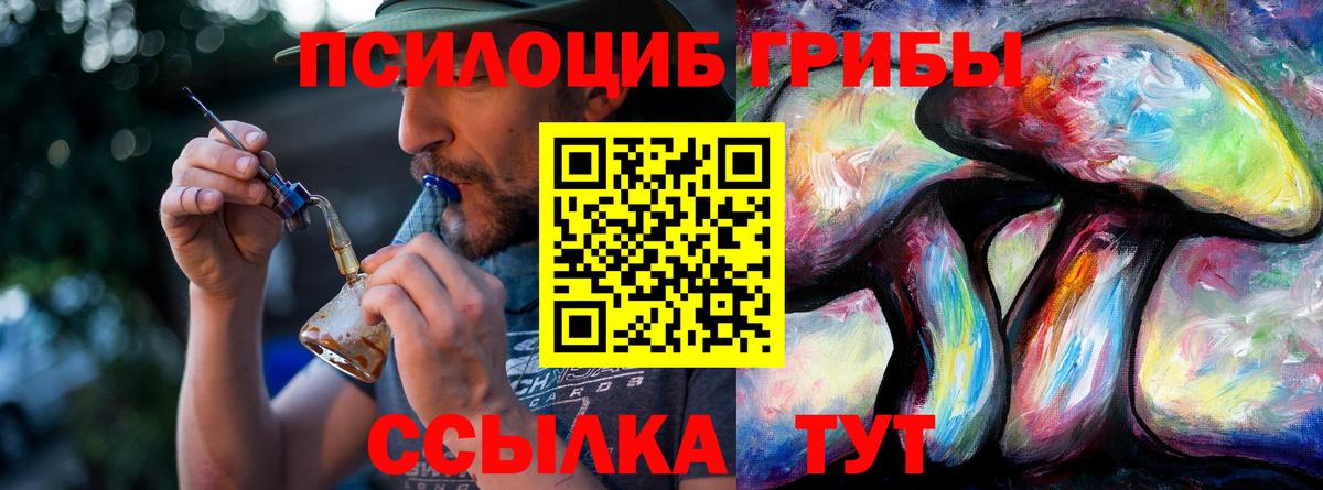 Псилоцибиновые грибы Cubensis Томск