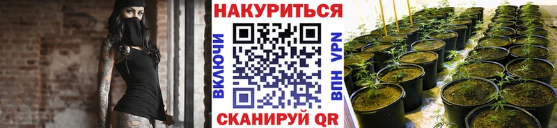 kraken онион  Томск  Каннабис Ganja  магазин  наркотиков 